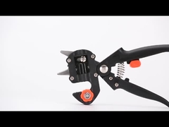 Μπόλιασμα του ψαλιδιού